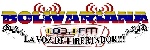 Bolivariana 103.1 FM